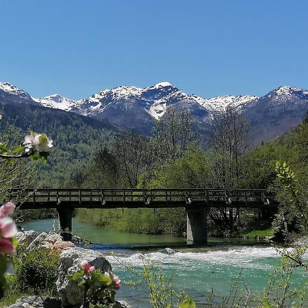 Apartma In Sobe Pr'Objan Bohinj Bagian luar foto
