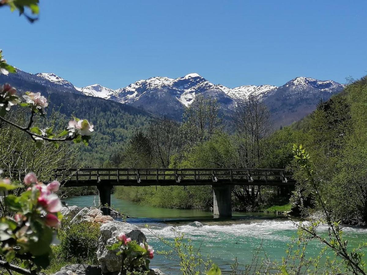 Apartma In Sobe Pr'Objan Bohinj Bagian luar foto