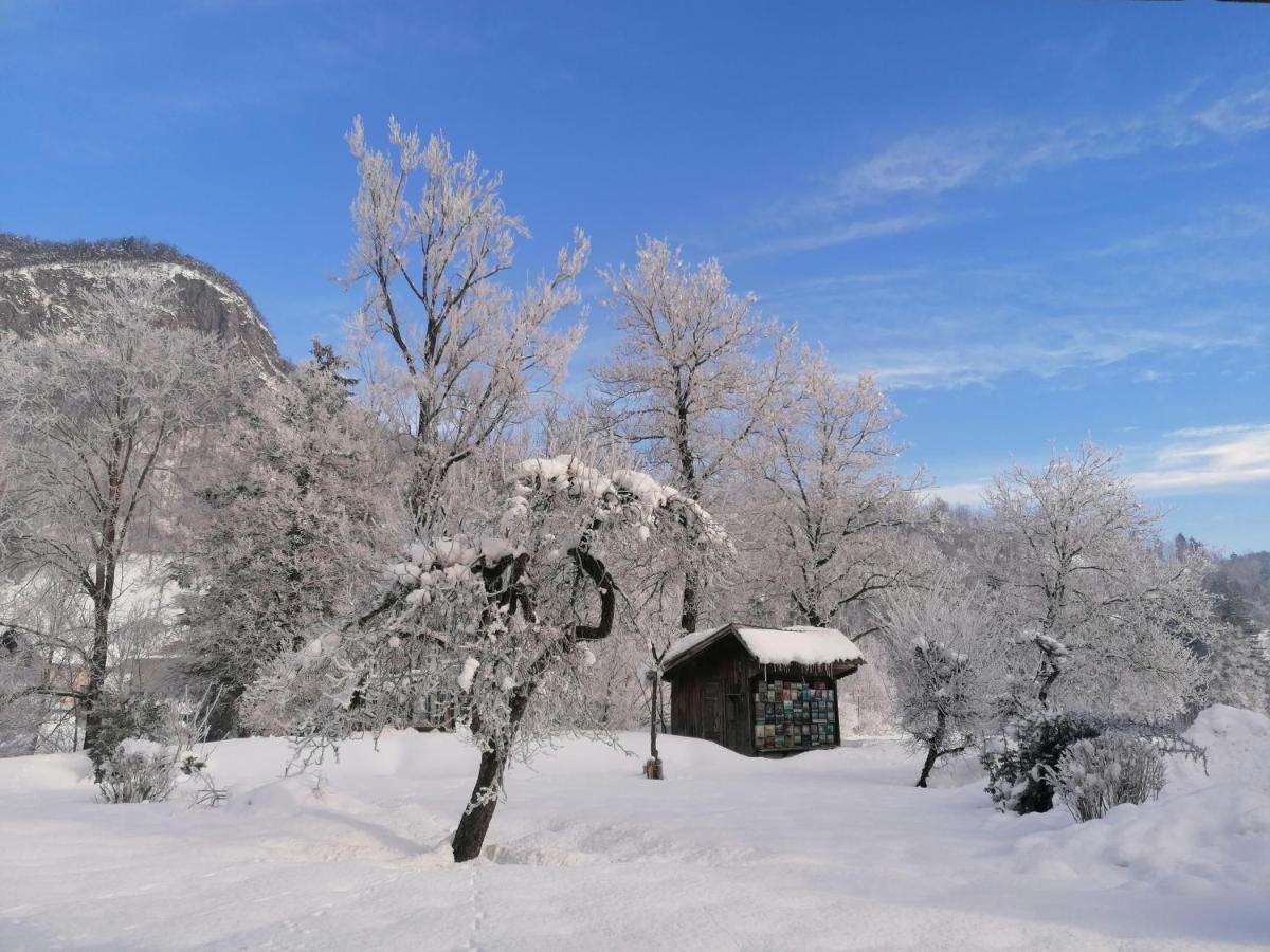 Apartma In Sobe Pr'Objan Bohinj Bagian luar foto
